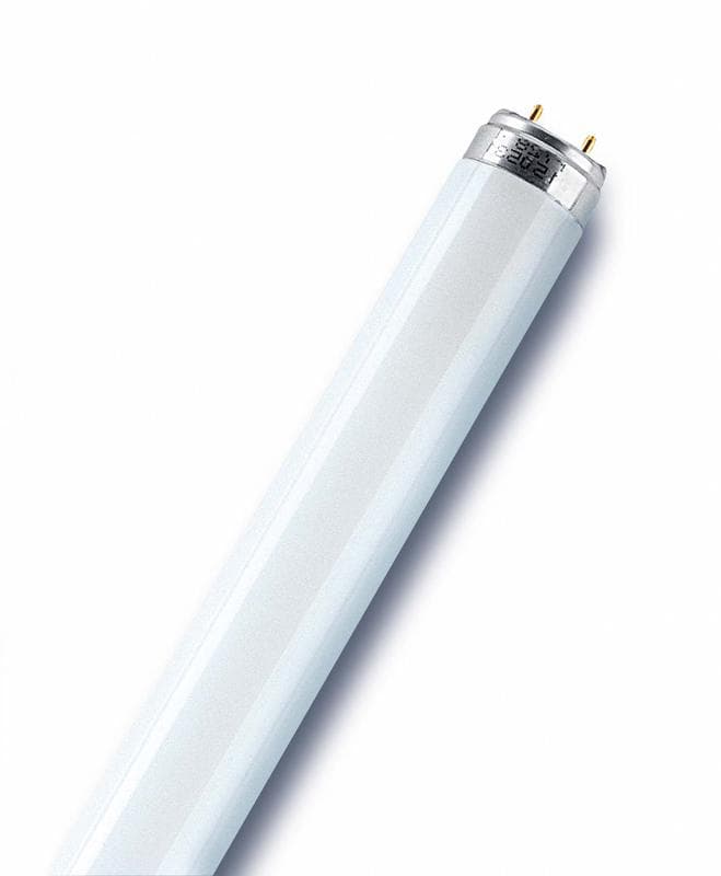 Лампа люминесцентная LUMILUX CHIP control L 36W/62 36Вт T8 G13 желт. OSRAM 4008321232724